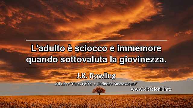 “L’adulto è sciocco e immemore quando sottovaluta la giovinezza.”