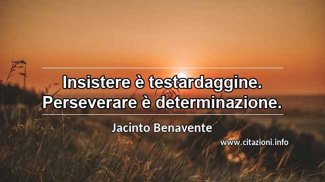 “Insistere è testardaggine. Perseverare è determinazione.”