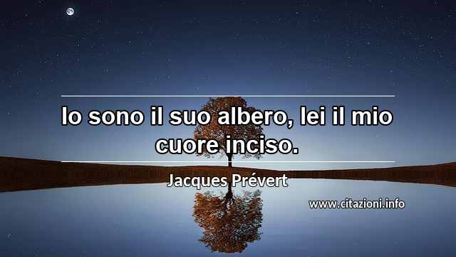 “Io sono il suo albero, lei il mio cuore inciso.”
