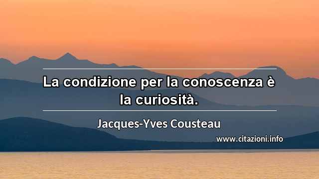 “La condizione per la conoscenza è la curiosità.”