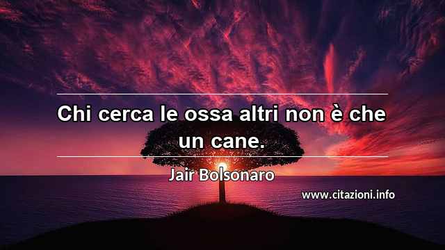 “Chi cerca le ossa altri non è che un cane.”