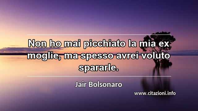 “Non ho mai picchiato la mia ex moglie, ma spesso avrei voluto spararle.”