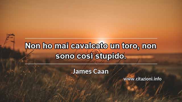 “Non ho mai cavalcato un toro, non sono così stupido.”