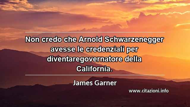 “Non credo che Arnold Schwarzenegger avesse le credenziali per diventaregovernatore della California.”