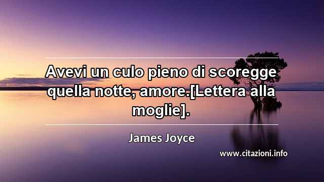 “Avevi un culo pieno di scoregge quella notte, amore.[Lettera alla moglie].”