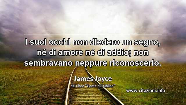 “I suoi occhi non diedero un segno, né di amore né di addio; non sembravano neppure riconoscerlo.”