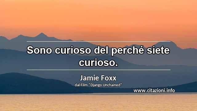 “Sono curioso del perché siete curioso.”