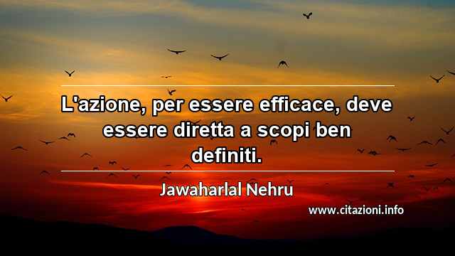 “L'azione, per essere efficace, deve essere diretta a scopi ben definiti.”