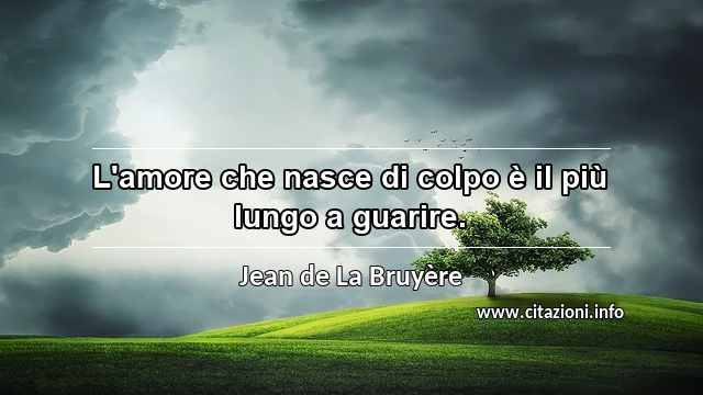 “L'amore che nasce di colpo è il più lungo a guarire.”