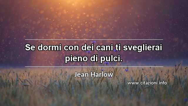 “Se dormi con dei cani ti sveglierai pieno di pulci.”