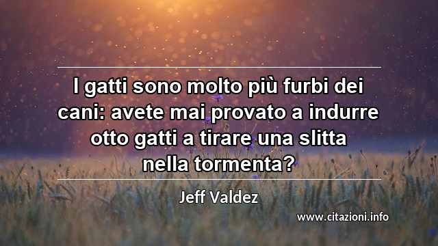 “I gatti sono molto più furbi dei cani: avete mai provato a indurre otto gatti a tirare una slitta nella tormenta?”