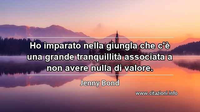 “Ho imparato nella giungla che c'è una grande tranquillità associata a non avere nulla di valore.”