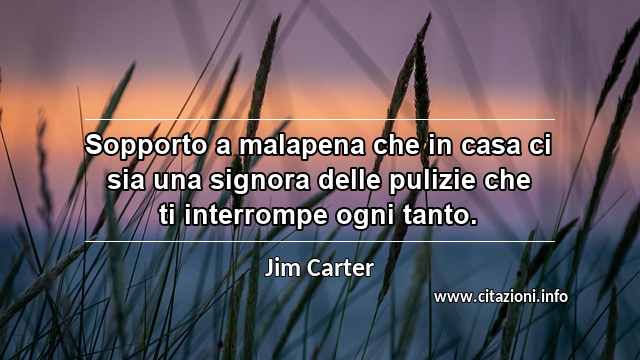 “Sopporto a malapena che in casa ci sia una signora delle pulizie che ti interrompe ogni tanto.”