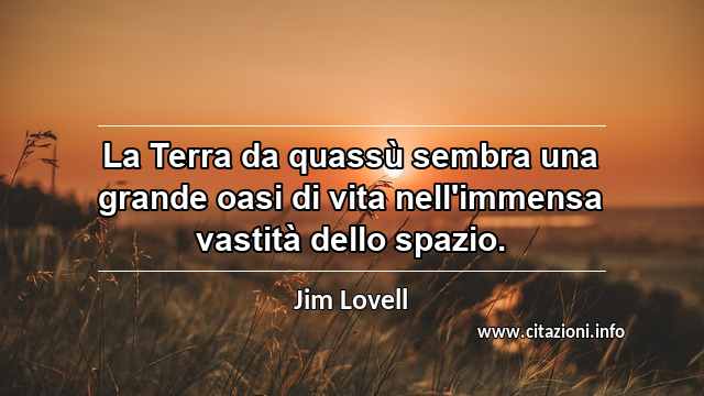 “La Terra da quassù sembra una grande oasi di vita nell'immensa vastità dello spazio.”