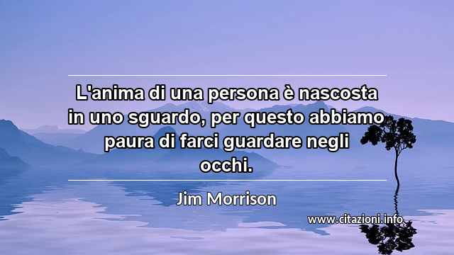 “L'anima di una persona è nascosta in uno sguardo, per questo abbiamo paura di farci guardare negli occhi.”