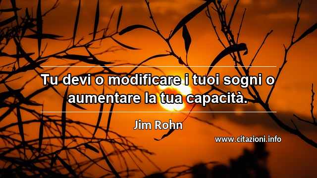 “Tu devi o modificare i tuoi sogni o aumentare la tua capacità.”