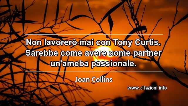 “Non lavorerò mai con Tony Curtis. Sarebbe come avere come partner un'ameba passionale.”