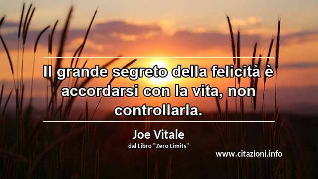 “Il grande segreto della felicità è accordarsi con la vita, non controllarla.”