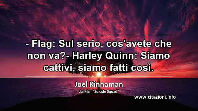 “- Flag: Sul serio, cos'avete che non va?- Harley Quinn: Siamo cattivi, siamo fatti così.”
