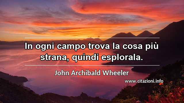 “In ogni campo trova la cosa più strana, quindi esplorala.”