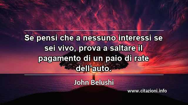 “Se pensi che a nessuno interessi se sei vivo, prova a saltare il pagamento di un paio di rate dell’auto.”