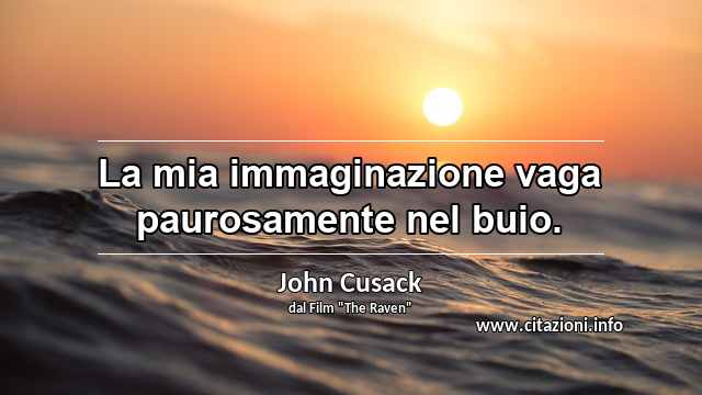“La mia immaginazione vaga paurosamente nel buio.”