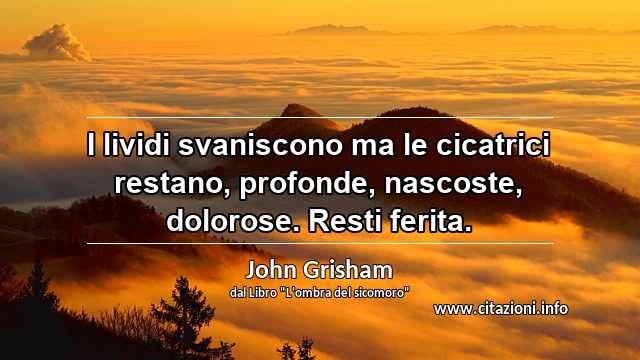 “I lividi svaniscono ma le cicatrici restano, profonde, nascoste, dolorose. Resti ferita.”