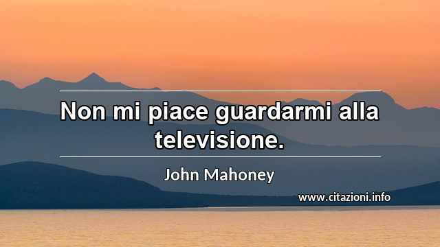 “Non mi piace guardarmi alla televisione.”