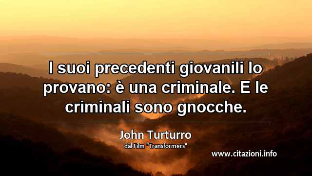 “I suoi precedenti giovanili lo provano: è una criminale. E le criminali sono gnocche.”