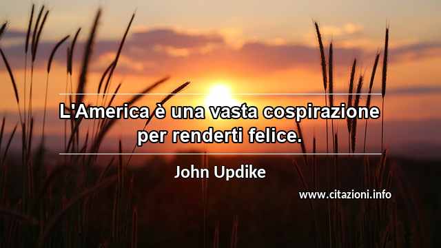 “L'America è una vasta cospirazione per renderti felice.”