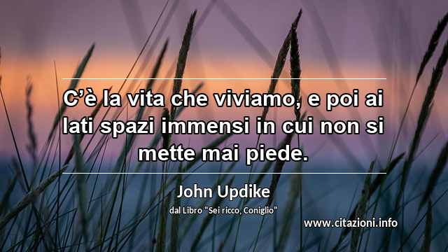“C’è la vita che viviamo, e poi ai lati spazi immensi in cui non si mette mai piede.”