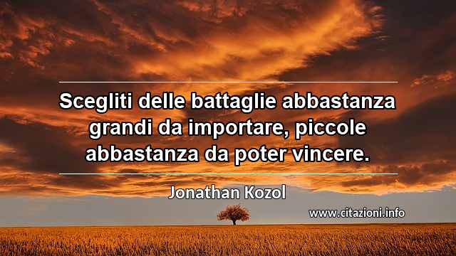 “Scegliti delle battaglie abbastanza grandi da importare, piccole abbastanza da poter vincere.”