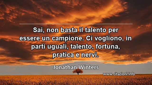 “Sai, non basta il talento per essere un campione. Ci vogliono, in parti uguali, talento, fortuna, pratica e nervi.”