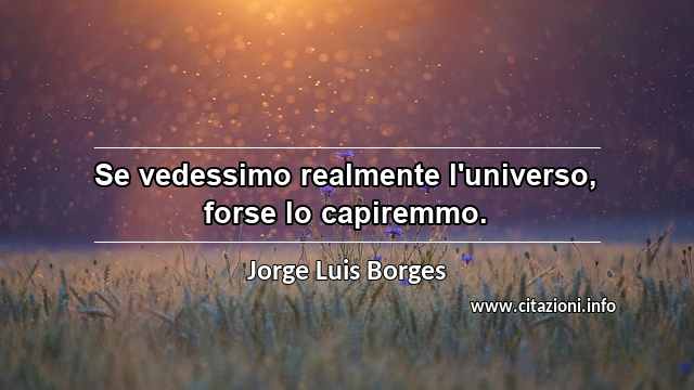 “Se vedessimo realmente l'universo, forse lo capiremmo.”