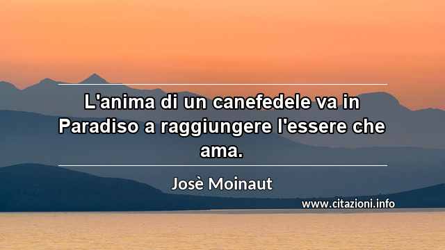 “L'anima di un canefedele va in Paradiso a raggiungere l'essere che ama.”