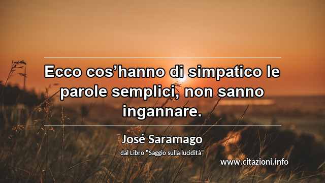 “Ecco cos’hanno di simpatico le parole semplici, non sanno ingannare.”