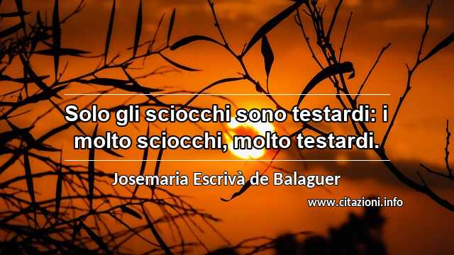 “Solo gli sciocchi sono testardi: i molto sciocchi, molto testardi.”