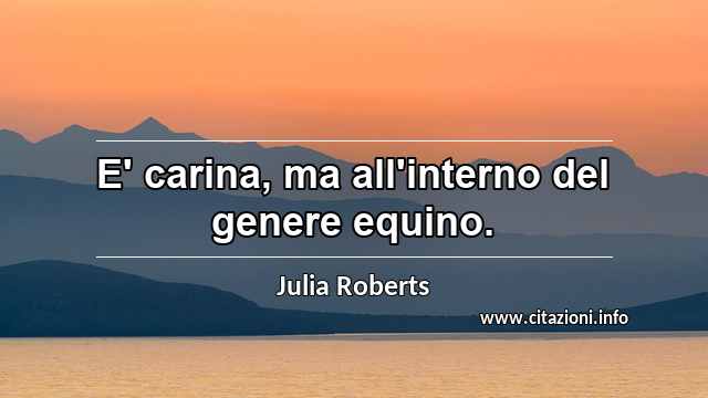 “E' carina, ma all'interno del genere equino.”