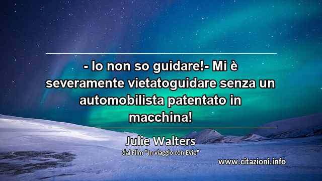 “- Io non so guidare!- Mi è severamente vietatoguidare senza un automobilista patentato in macchina!”