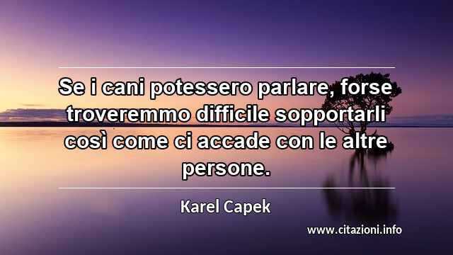 “Se i cani potessero parlare, forse troveremmo difficile sopportarli così come ci accade con le altre persone.”