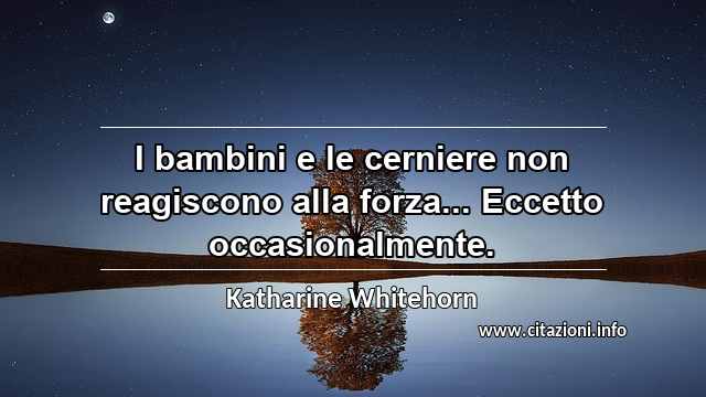 “I bambini e le cerniere non reagiscono alla forza... Eccetto occasionalmente.”