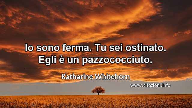 “Io sono ferma. Tu sei ostinato. Egli è un pazzococciuto.”