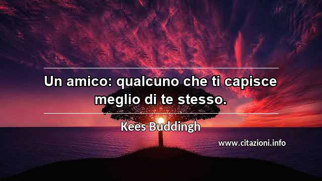 “Un amico: qualcuno che ti capisce meglio di te stesso.”