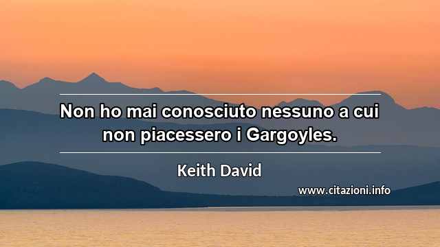 “Non ho mai conosciuto nessuno a cui non piacessero i Gargoyles.”