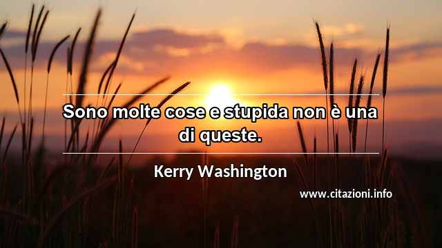 “Sono molte cose e stupida non è una di queste.”