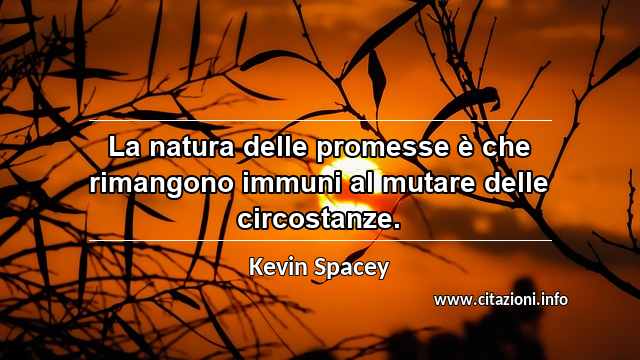 “La natura delle promesse è che rimangono immuni al mutare delle circostanze.”