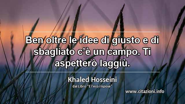 “Ben oltre le idee di giusto e di sbagliato c’è un campo. Ti aspetterò laggiù.”