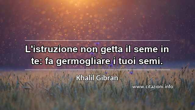 “L'istruzione non getta il seme in te: fa germogliare i tuoi semi.”