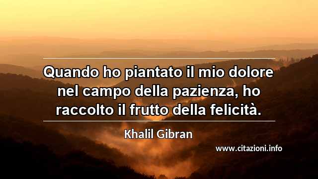 “Quando ho piantato il mio dolore nel campo della pazienza, ho raccolto il frutto della felicità.”