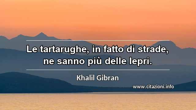 “Le tartarughe, in fatto di strade, ne sanno più delle lepri.”